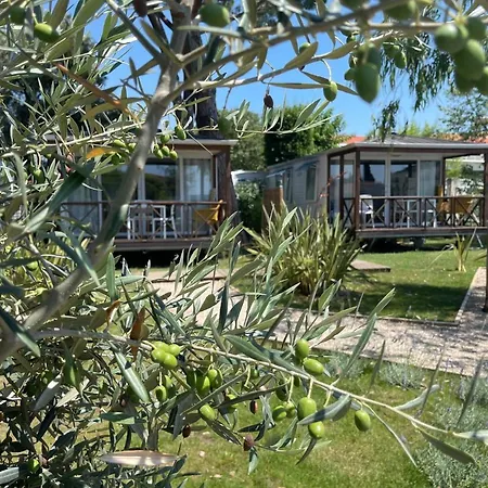 Les Cigales Camping