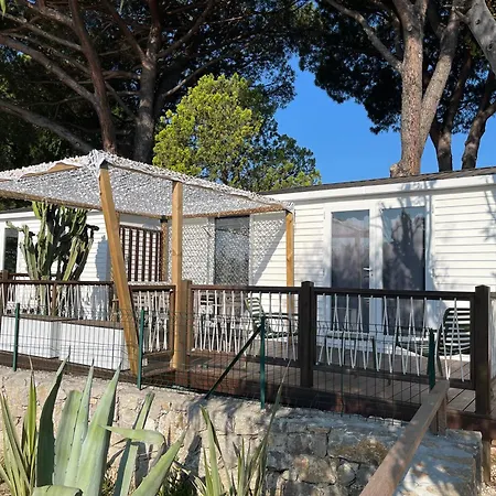Campsite Camping Les Cigales